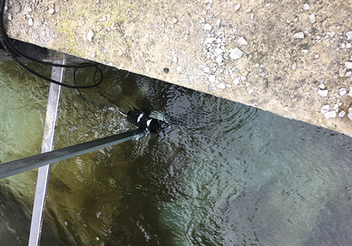 多普勒流速儀 多普勒流速儀