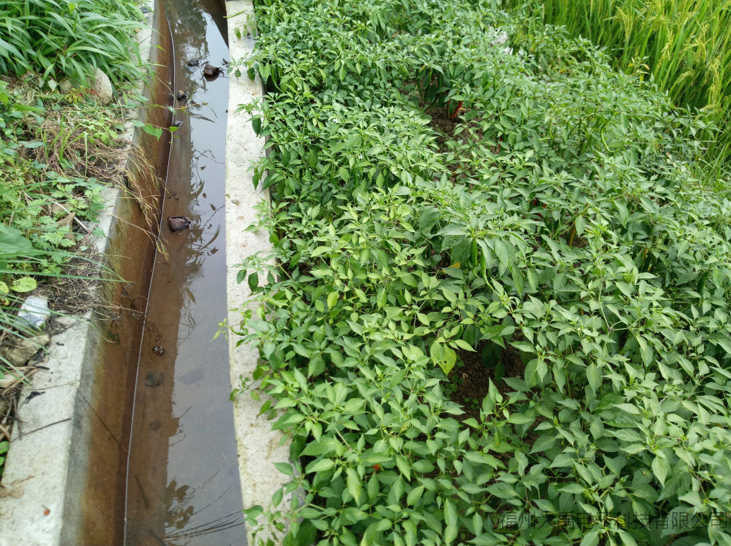 160282851919681.png 160282851919681.png