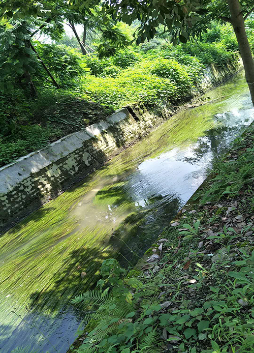 166027549651396.png 圖片2.png